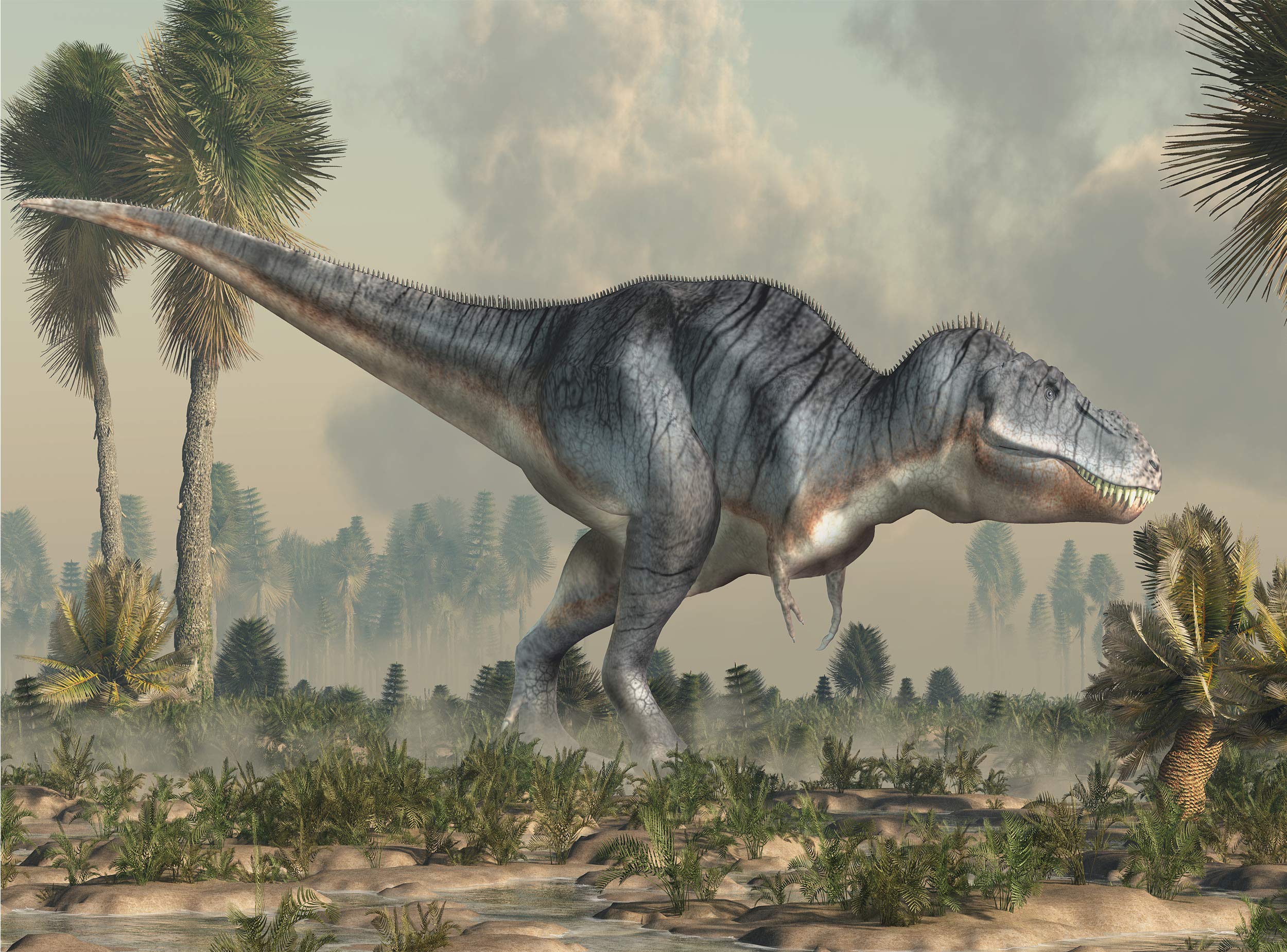 Papel pintado 3D Dinosaurio Tyrannosaurus Rex mural de pared para niños adolescentes dormitorio decoración de pared W 366 cm x H 254 cm papel pintado murales imagen gigante papel cartel