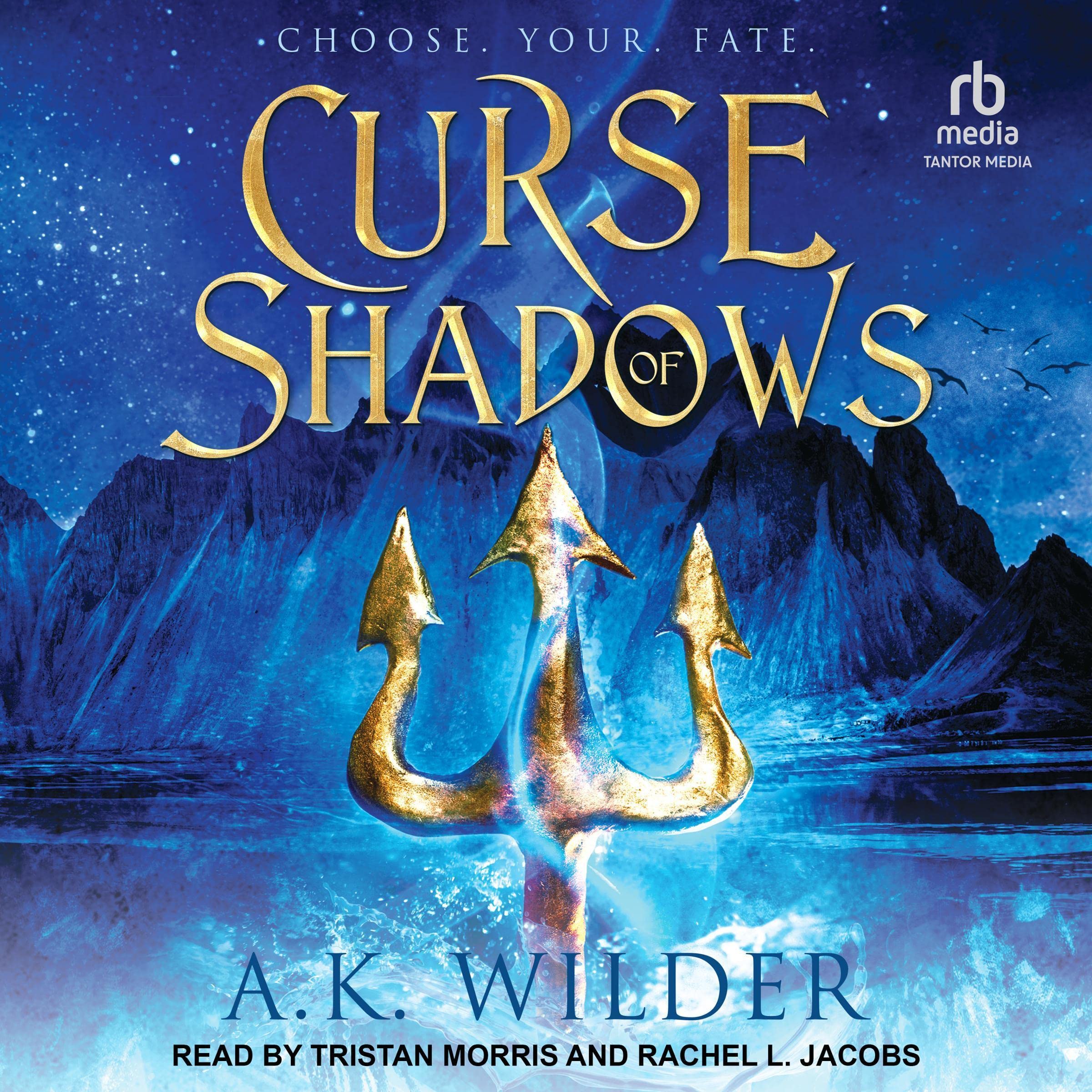 Cover art for Curse of Shadows