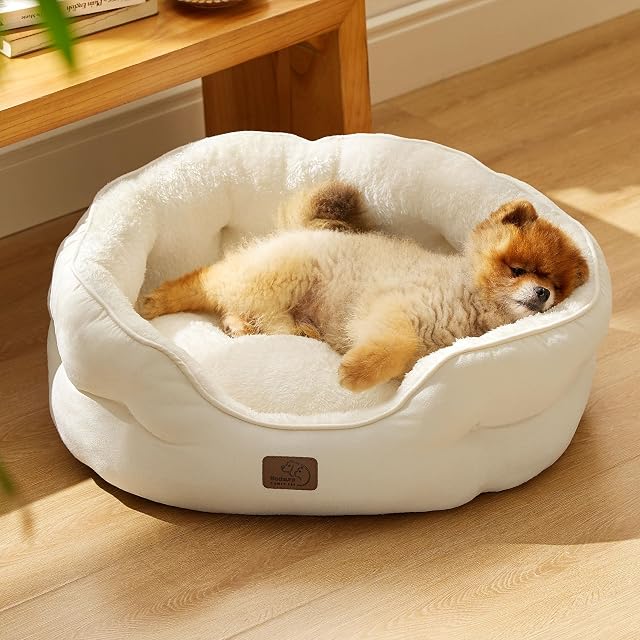 Foto 7 de 7 de Bedsure Cama Grande Lavable - Redonda Antideslizante para Gatos y Cachorros de Interior, Blanco 63x53x20cm
