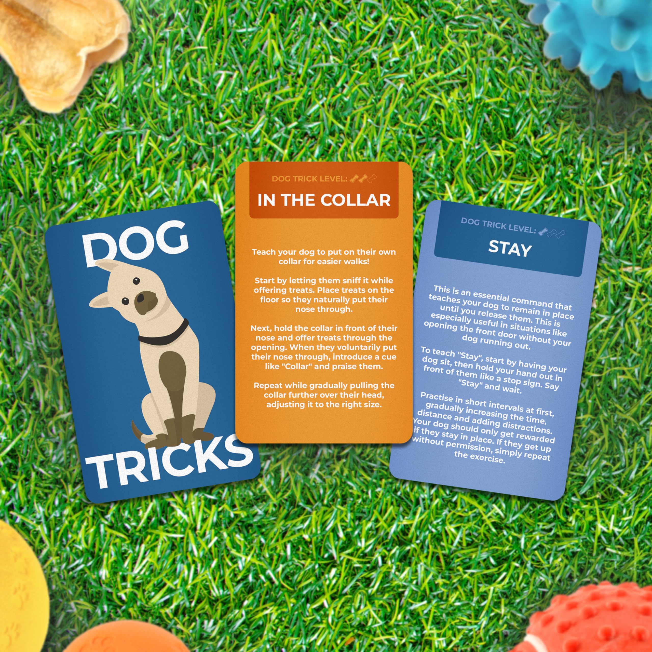 Gift Republic Dog Tricks Card Pack, 100 Training Cards for Dogs and Puppies, Fun Gift Idea for Pet Owners - Image 4