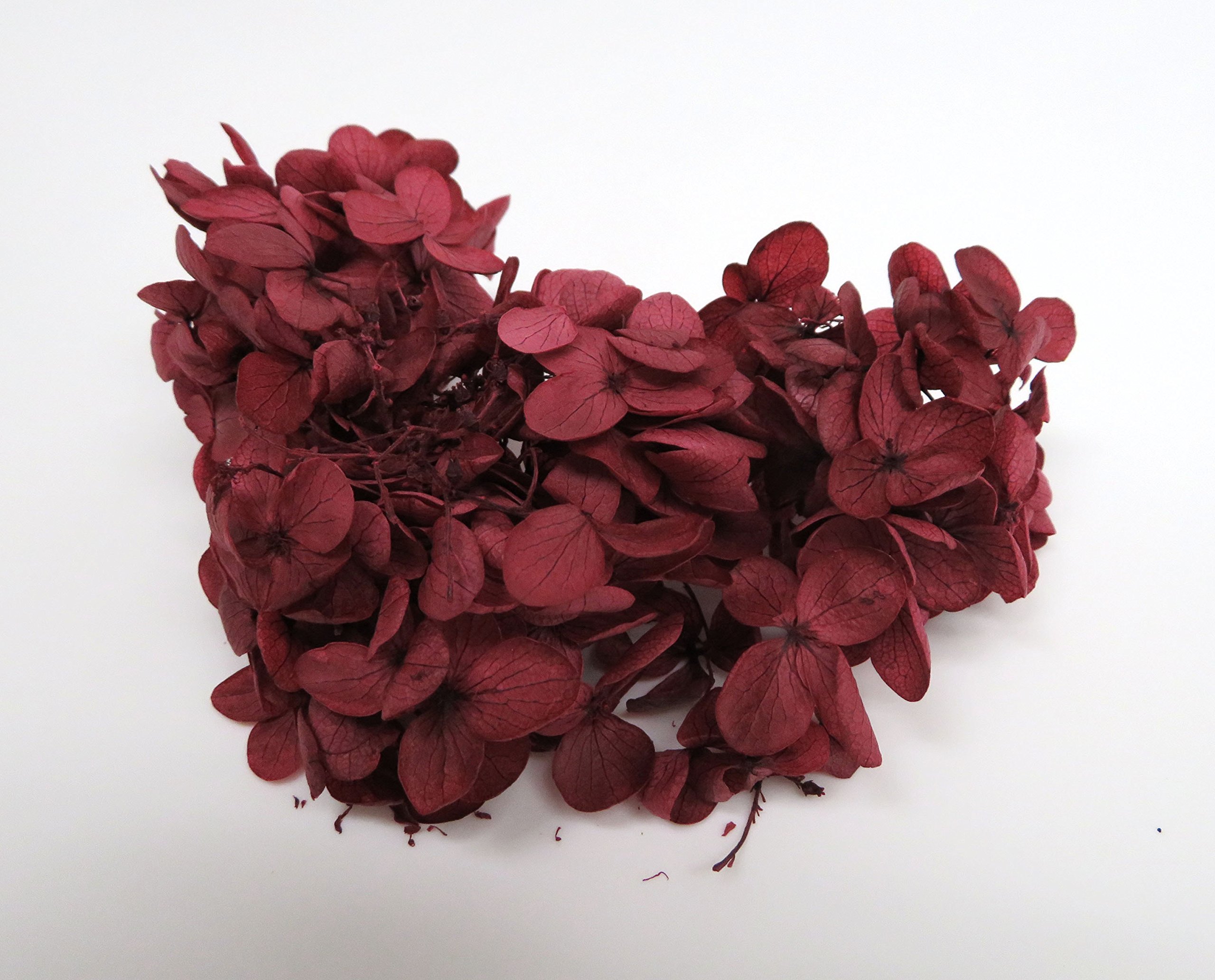Hydrangea4937　0602 Tanaka Industry ZA-513 Hydrangea Preserved Flowers, Macaron, Wine