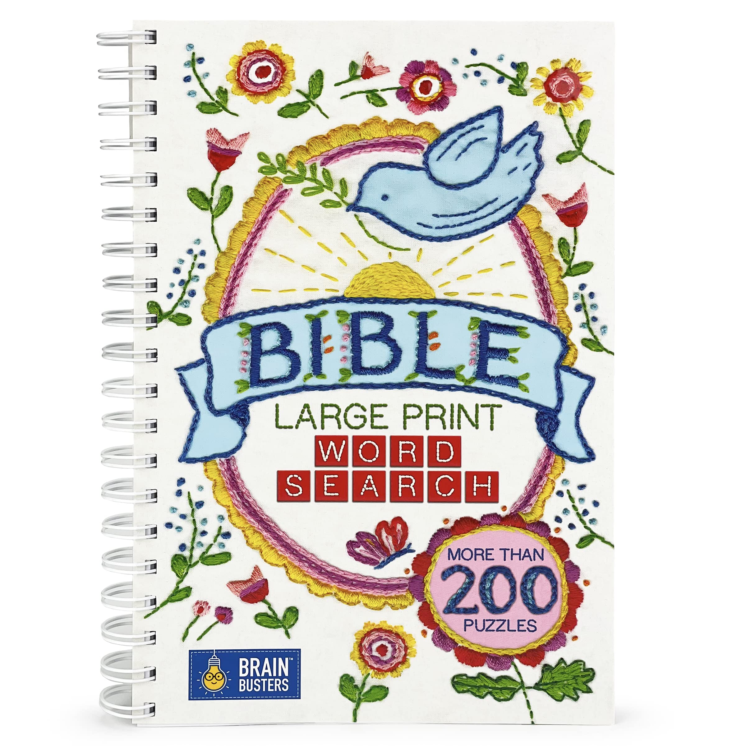 Bible Large Print Word Search: Parragon Books: 9781646380220: Books -  Amazon.ca