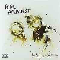 The Sufferer & The Witness (Vinyl): Rise Against: Amazon.ca