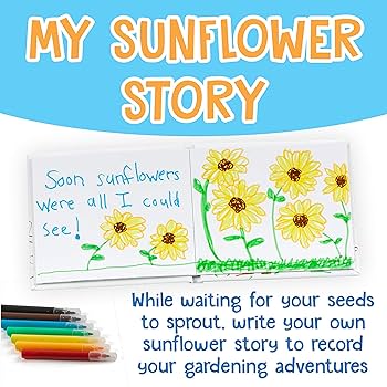 Amazon.com: Creativity for Kids Sunflower Garden - Sunflower