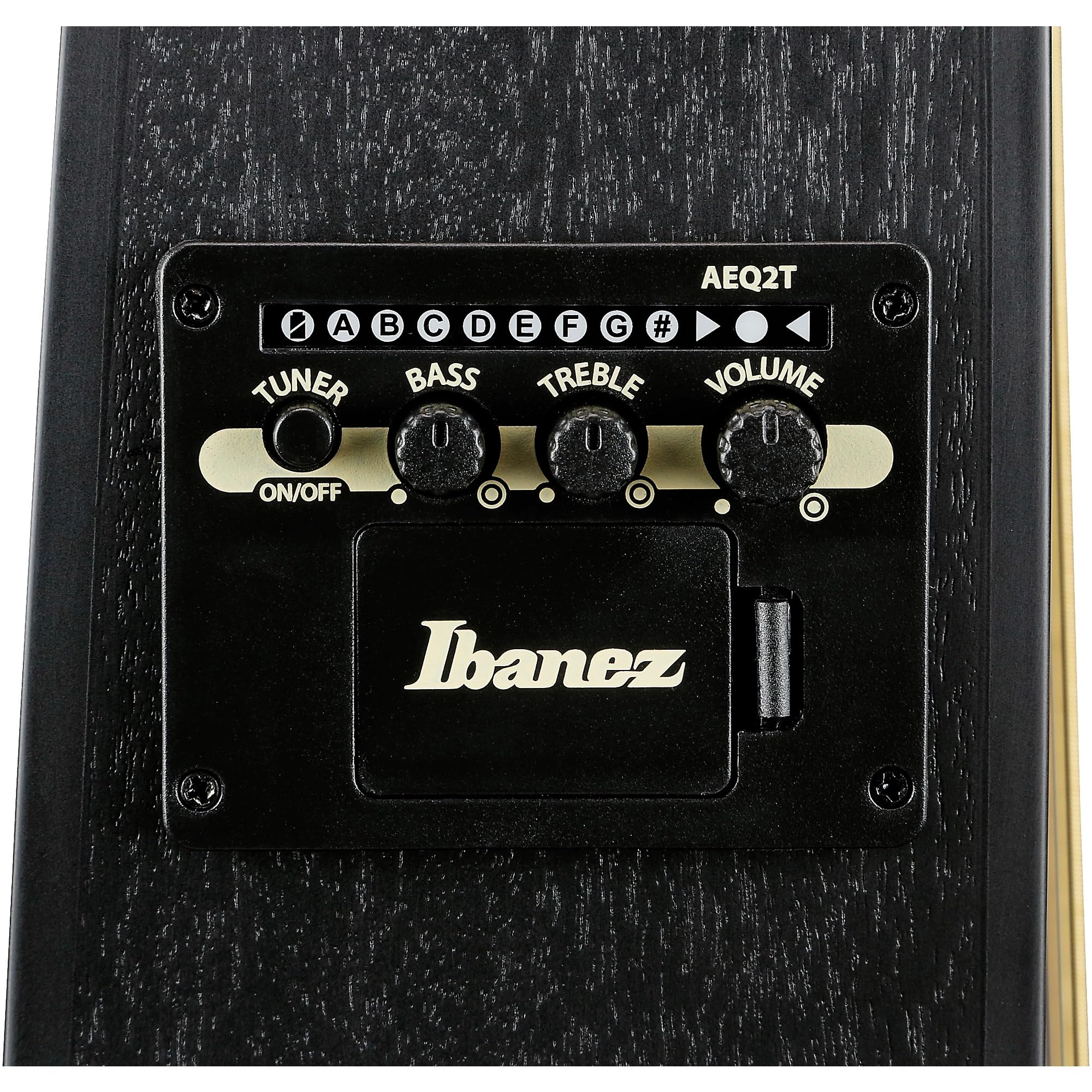 Ibanez TCY621-BOT - Westerngitarre
