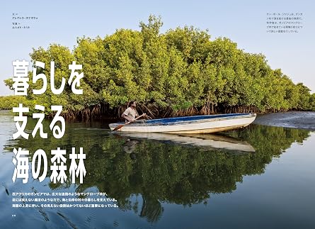 ナショナル ジオグラフィック日本版 2026年11月号(まるごと一冊『私たちのひとつの海』)〔特製ポスター付き〕