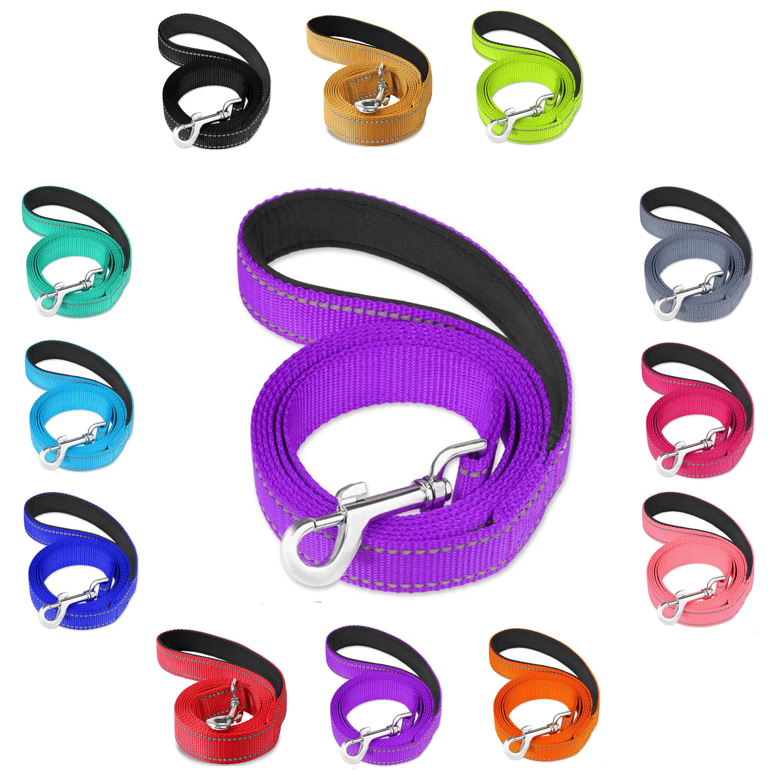 Vibrant Reflective, Padded Handle, Nylon Dog Lead - For Walking, Training Leash for Dogs (Purple, 2.5cm Wide)