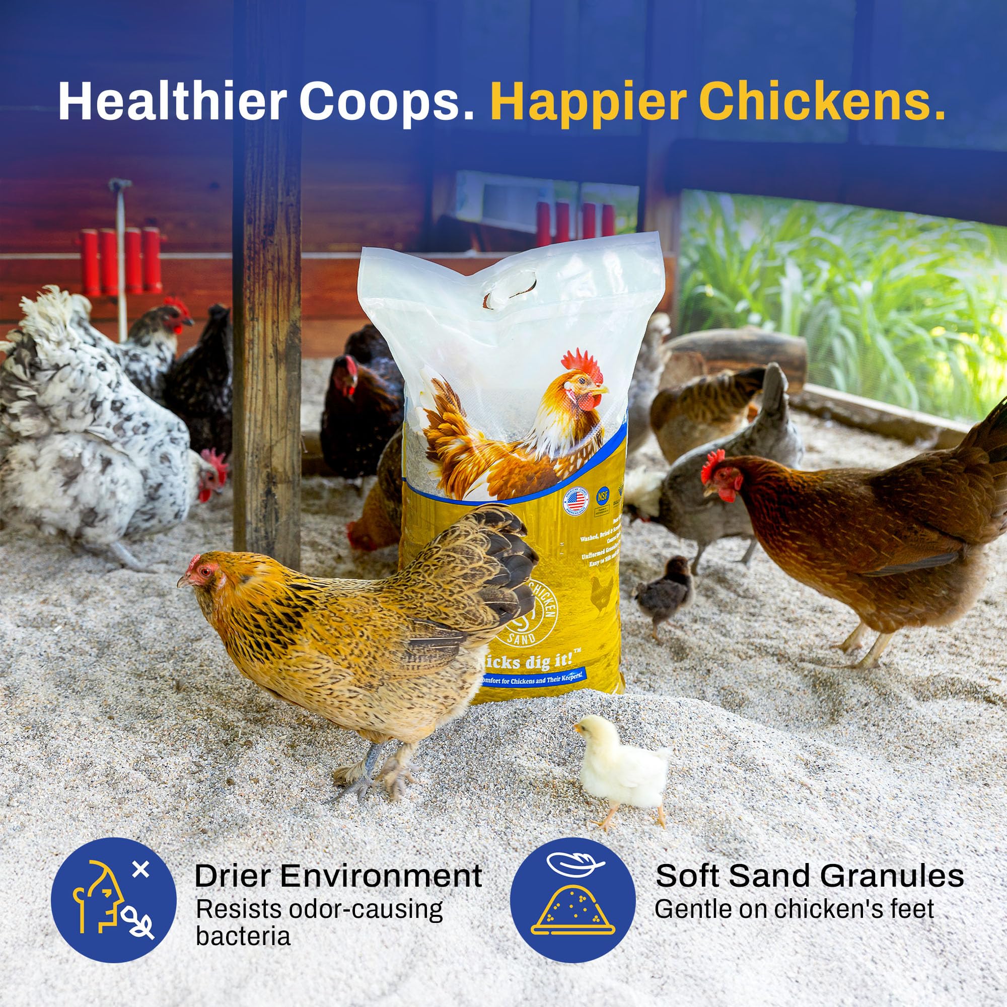Premium Chicken Sand, Bolsa de 50 libras para eliminar olores, para gallineros, cajas de anidación y carreras