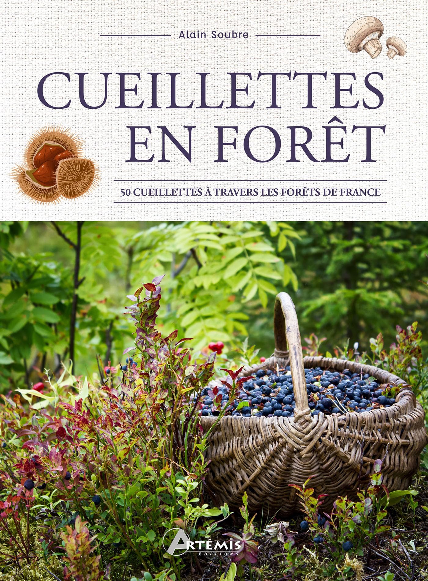 Cueillettes en forêt: 50 cueillettes à travers les forêts de France