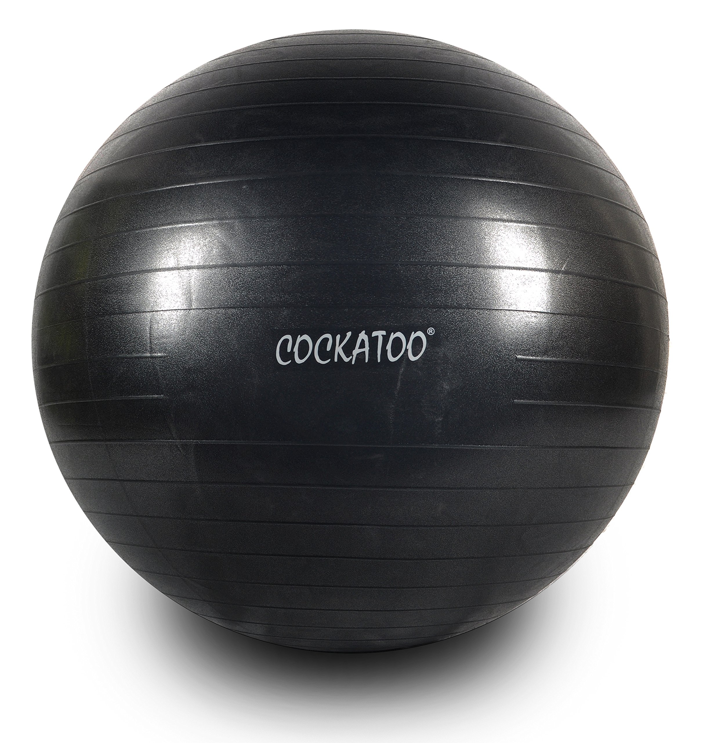 Cockatoo GB-95 Anti-Burst Gym Ball with Foot Pump, 95 (Black) (B071RGKYT2) Amazon Price History, Amazon Price Tracker