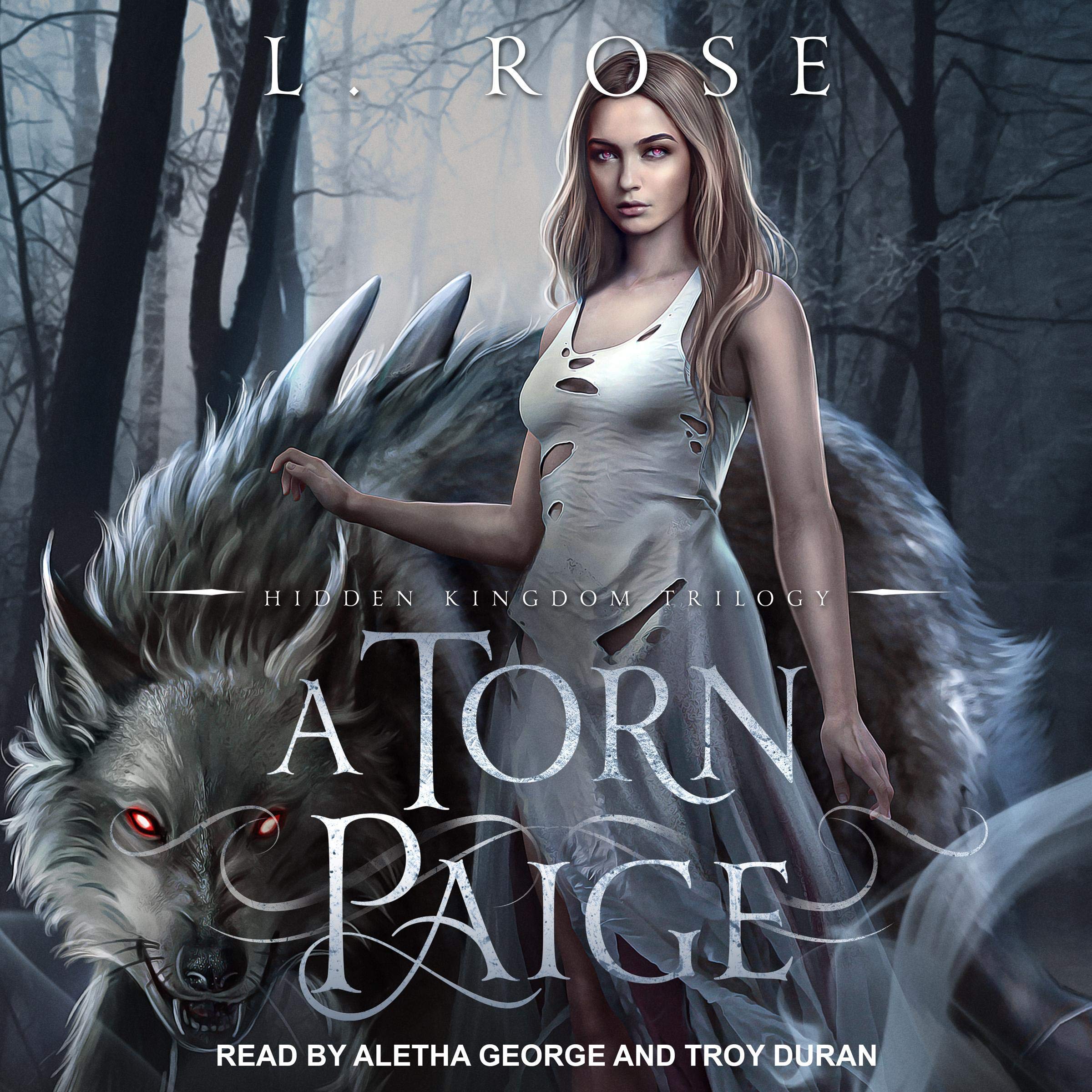 Cover art for A Torn Paige