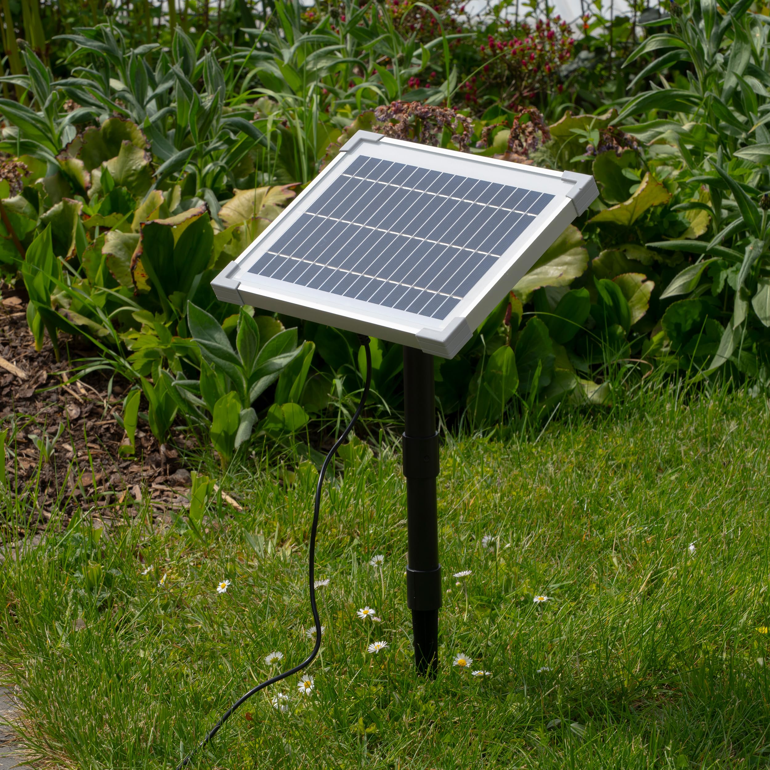 Esotec Solar Wasserspeier Komplettset, Seehund Figur Sammy, Gartenteich Wasserspiel, Vogeltränke, Vogelbad, Gartenbrunnen mit Solarpumpe, 2 Schläuche, H=25cm 101676