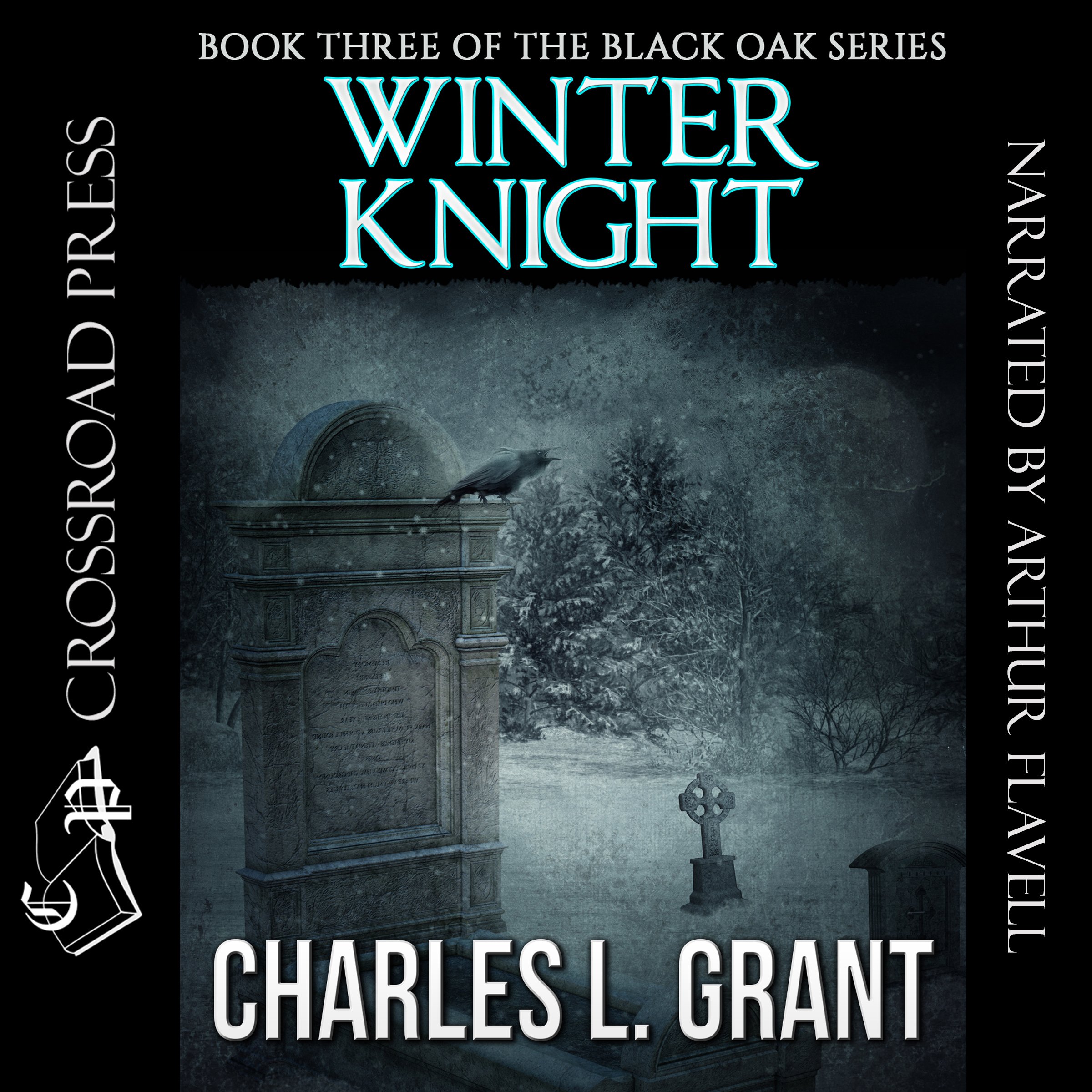 Cover art for Winter Knight