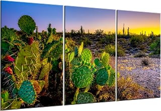 Arizona 3 Piece Canvas Wall Art. Cactus Original Photography Print.