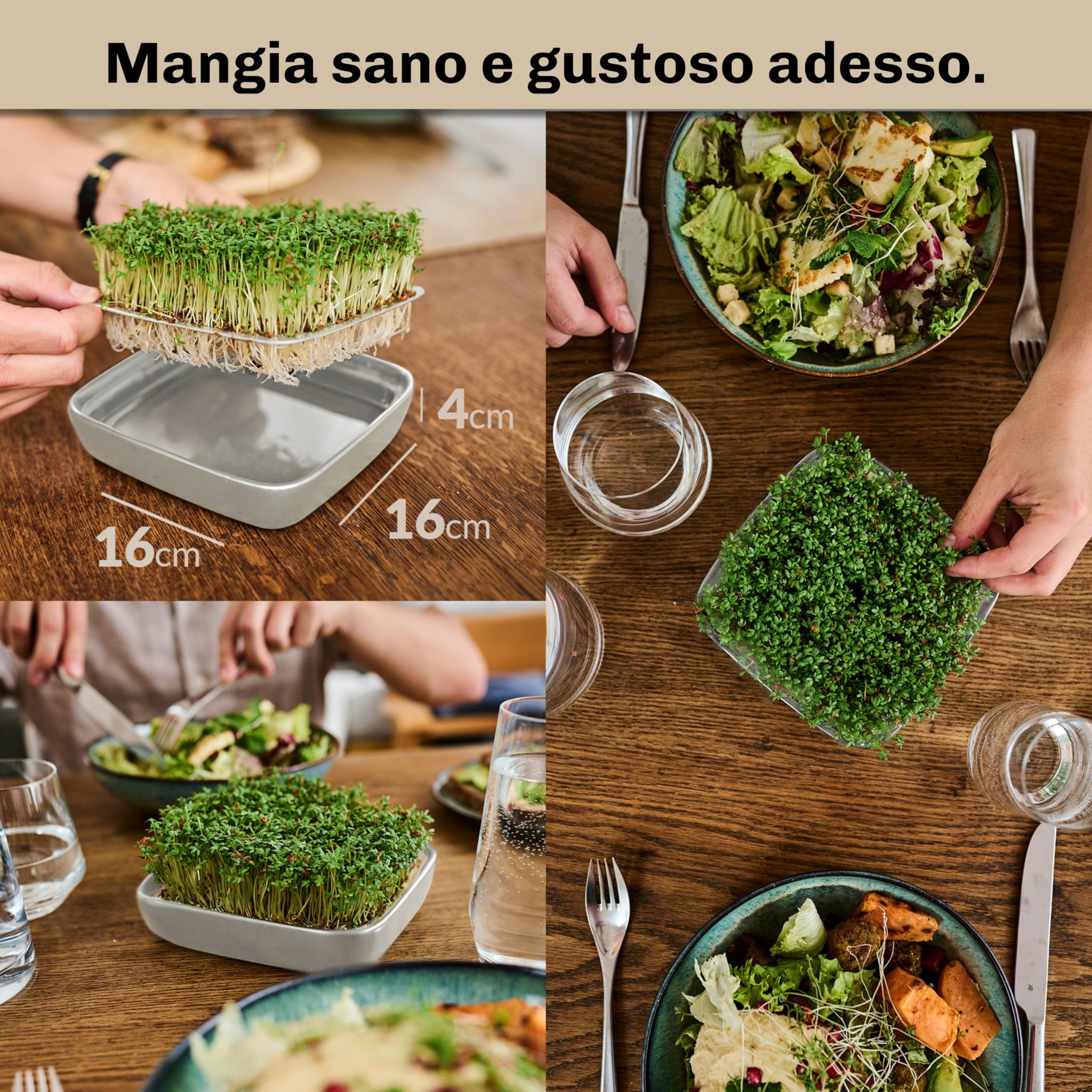 Otaro Germogliatore con Semi di crescione | Microgreens | Idroponica Kit Completo - Pronto all’Uso | Germogliatore per Semi | Semenzaio Elegante | (Grigio - Set Premium in Ceramica)