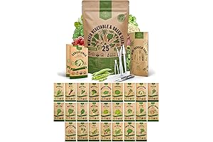 25 Winter Vegetable Seeds for Outdoor Planting