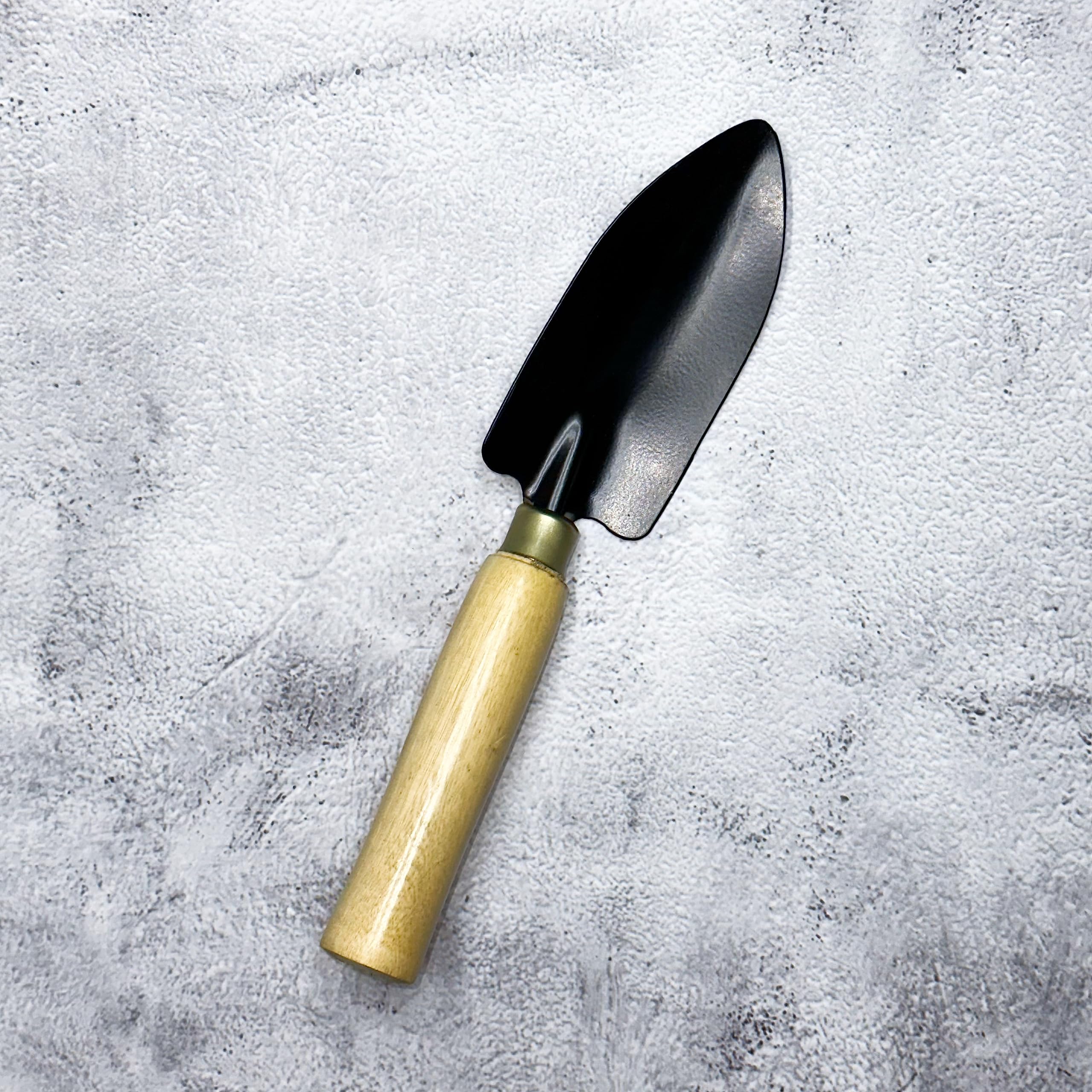 See full amazon price history chart for Gtree Garden Hand Transplanter Wooden Handle (Small) | Stainless Steel Blade | Terrace, Balcony Gardening Accessories | Tools Kit for Home Gardening | Tool Kit Set | 1 pc Gtree Garden Hand Transplanter Wooden Handle (Small) | Stainless Steel Blade | Terrace, Balcony Gardening Accessories | Tools Kit for Home Gardening | Tool Kit Set | 1 pc (B0CP96SNWM) Amazon Price History, Amazon Price Tracker