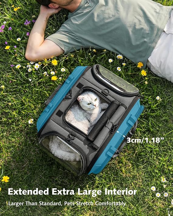 pecute Cat Carrier Stable, Large Space, Pet Carrier Bubble Window,Grey
