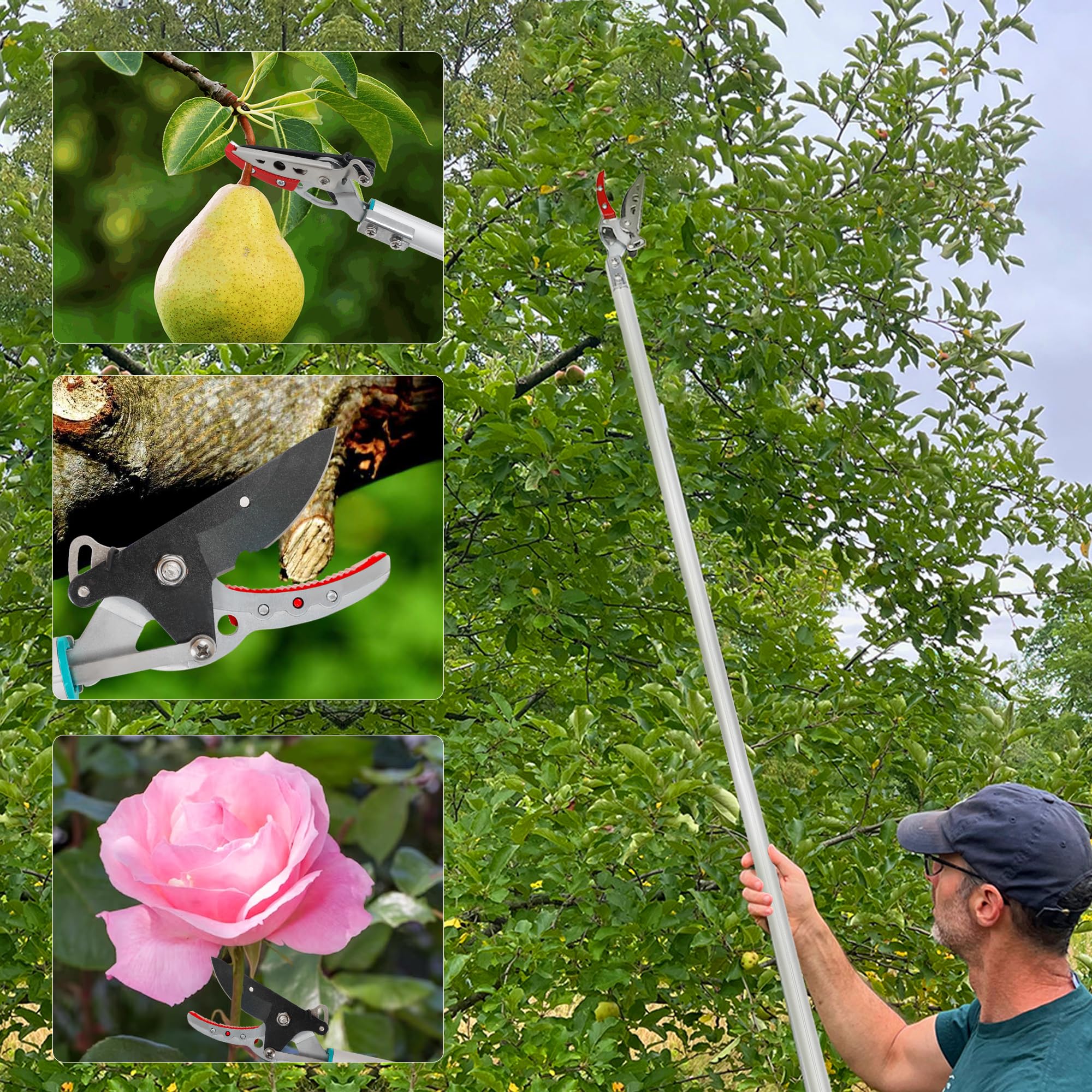 FLORA GUARD Tijeras recolectoras de frutas 80 cm | Tijeras de poda de jardín con mango giratorio 180°, bloqueo de seguridad y corte de ramas