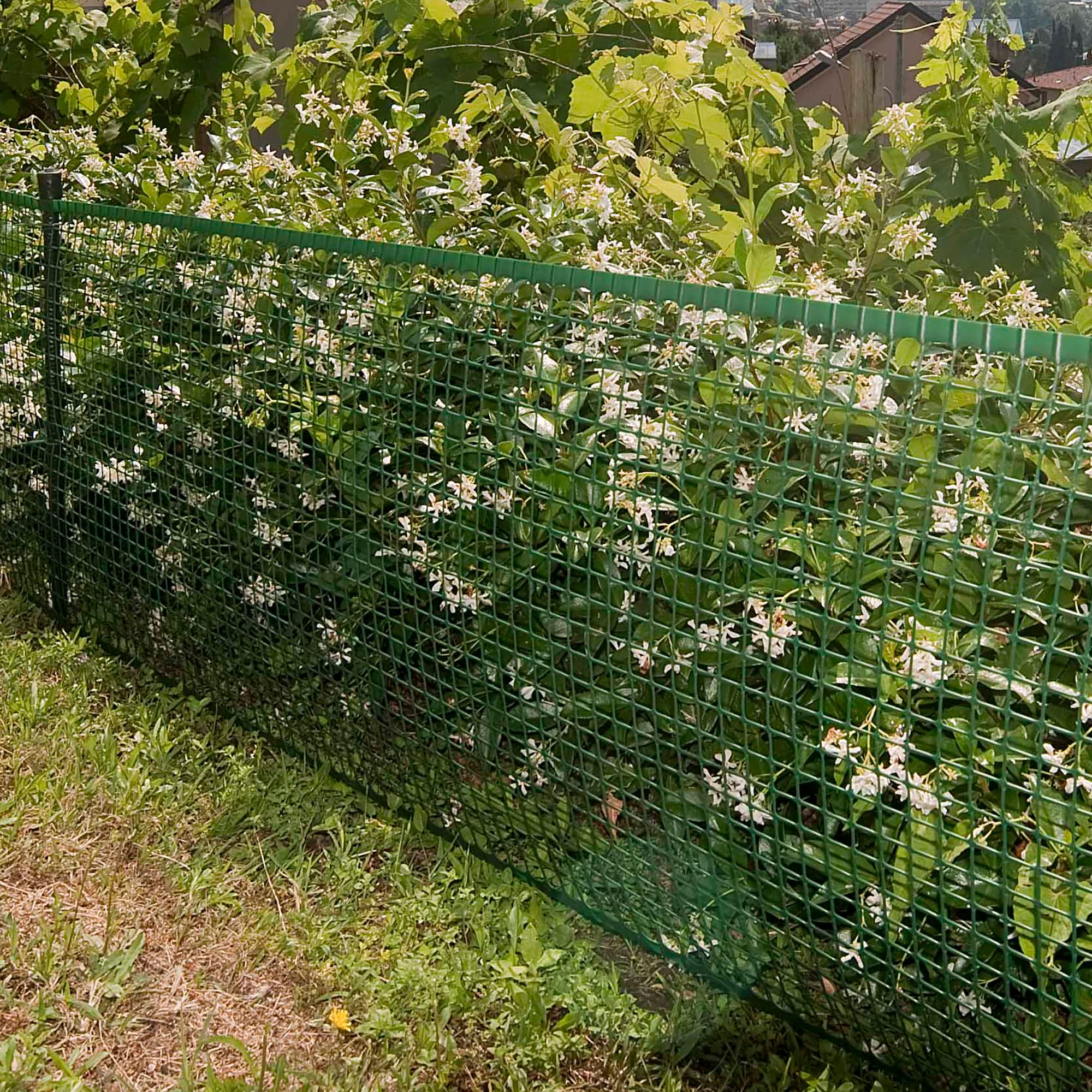 TENAX Quadra 20 zielona, 1,00 x 30 m, siatka ochronna z tworzywa sztucznego do bram, ogrodzeń i balkonów
