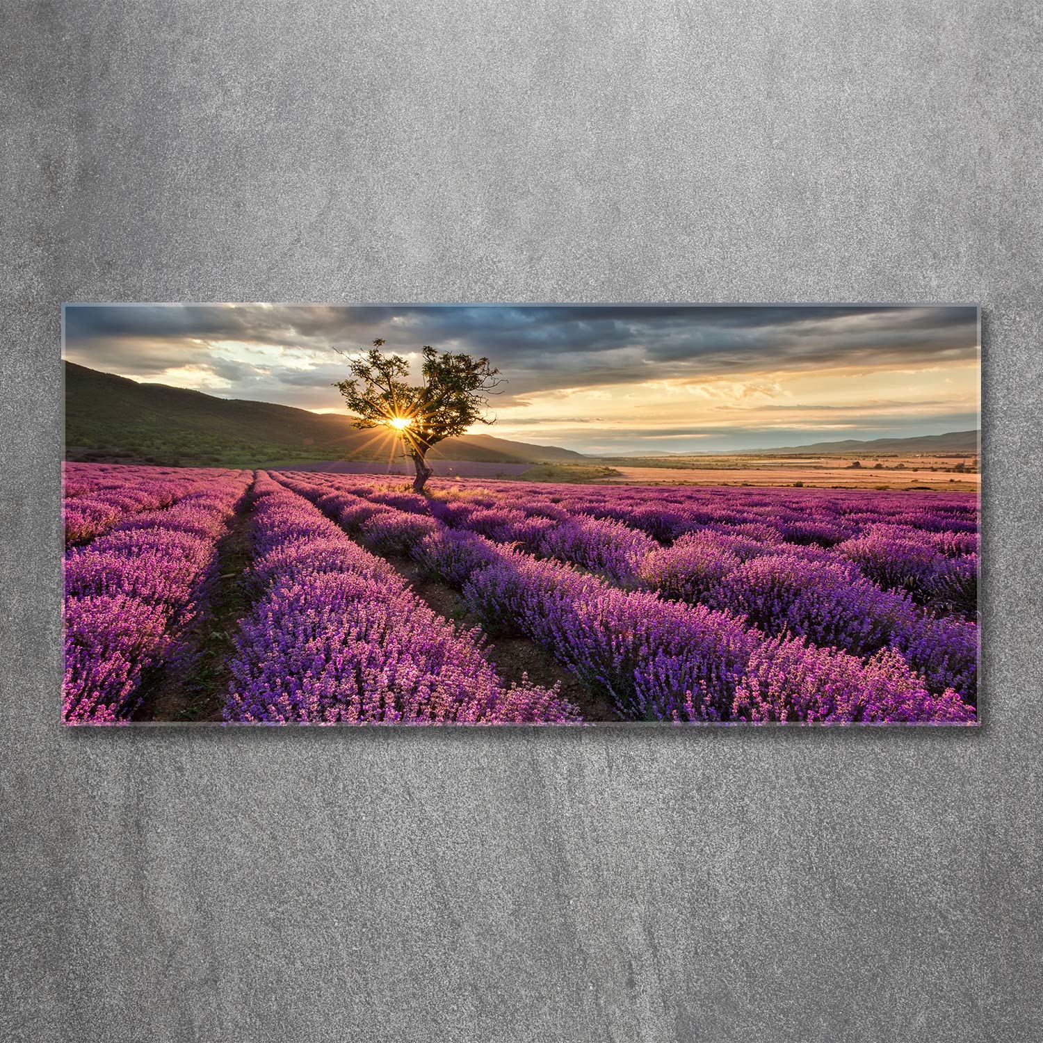 Tulup Impression sur Verre de 120x60 cm Image Tableau Photo décorative panoramique pour la Cuisine et Le Salon - Paysage - Champ De Lavande - Violet