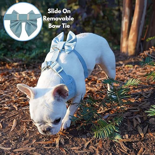 Miniatura 4 de Stampede Pets Arnés para perros pequeños sin tirones juego de arnés y correa de malla ajustable para cachorros arnés de tamaño mediano collar y