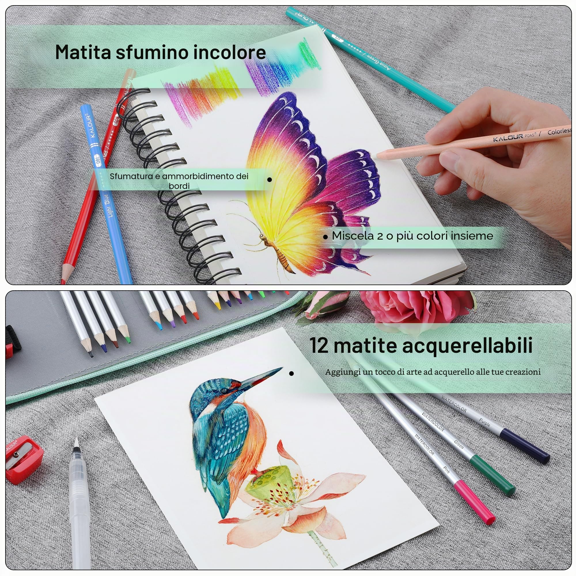 KALOUR Set di 256 matite colorate per adulti, matite con nucleo morbido per disegnare sfumature, regalo per adulti, artisti principianti