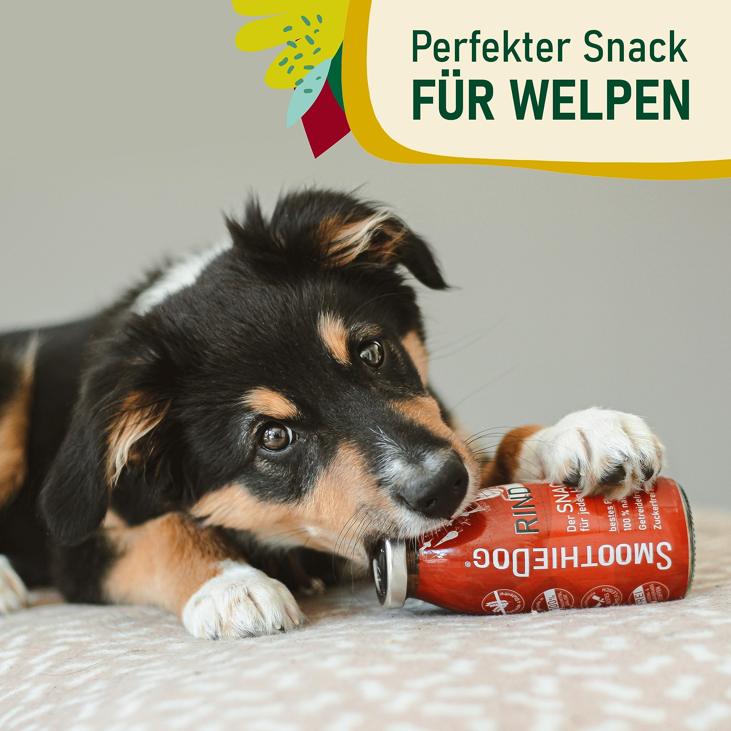 Hunde Smoothie SmoothieDog 12er Mix - je 6X: Huhn, Rind - Flüssiges Hundeleckerli - Zucker- & glutenfrei - je 250ml