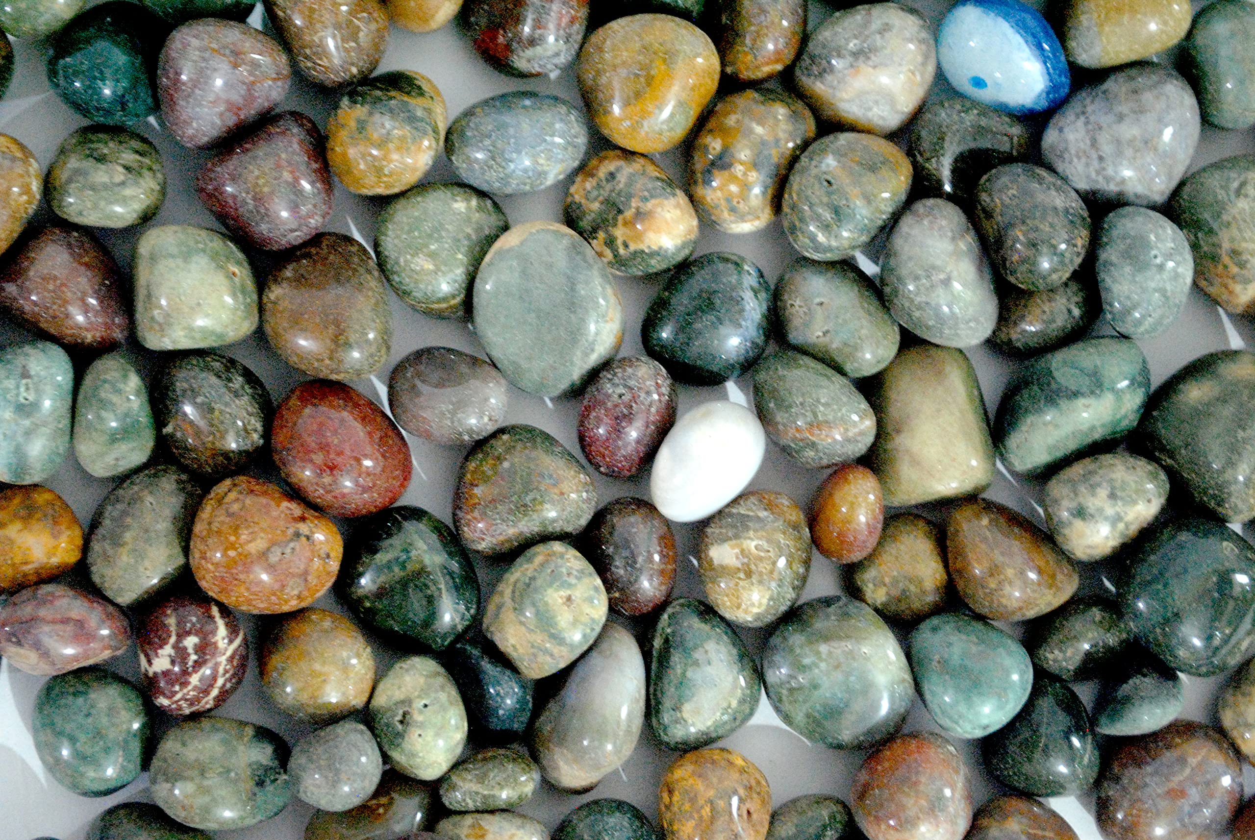 Schmick Pebbles for Decoration - Fancy Tumble Pebbles Stones for Fish Tank Aquarium, Fountain, Table Decor - Decorative Pebbles Stones and Vase Fillers - Pebbles for Plants Pots and Garden Decor (1.9 Kg, Fancy Tumble) 1