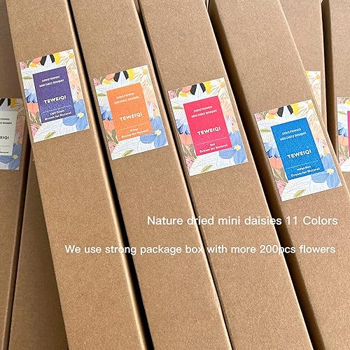 Miniatura 7 de Natural - Secas - Flores brasileñas pequeñas estrellas secas margaritas decorativas mini ramo de manzanilla para bodas, arreglos florales,