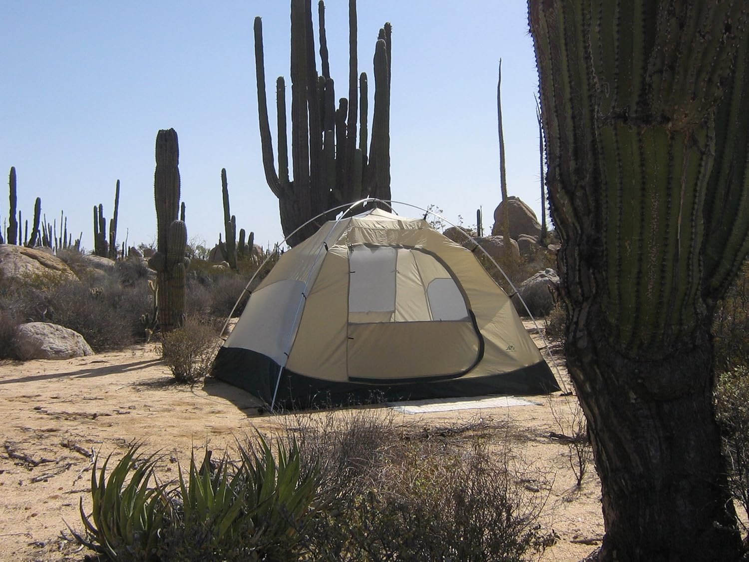 ALPS Mountaineering Tents Meramac Outfitter