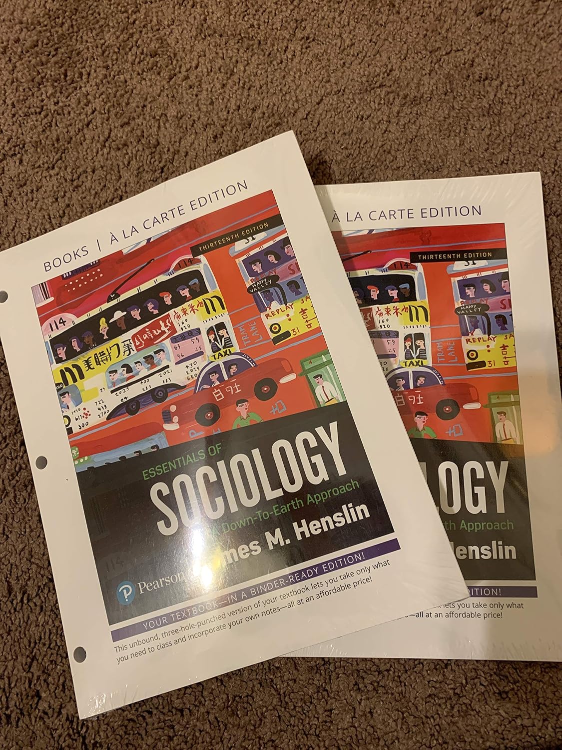 Essentials of Sociology A DownToEarth Approach Loose