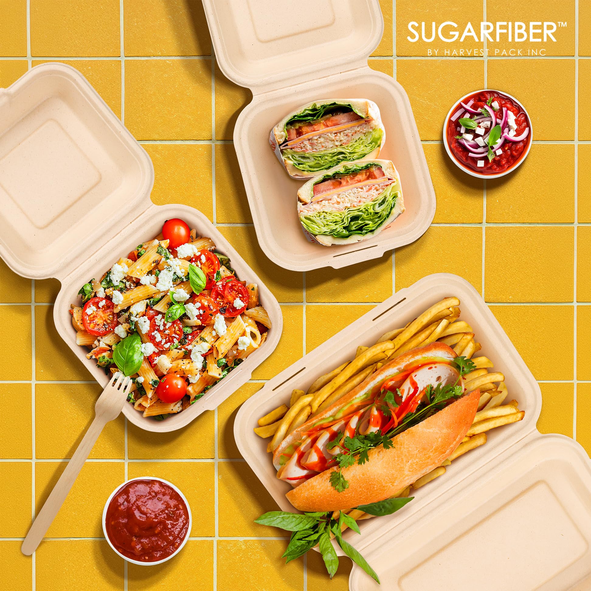 Harvest Pack - Paquete de 50 contenedores compostables de fibra de azúcar de 8 x 8 pulgadas, contenedor de alimentos con bisagras, de bagazo desechable, ecológico, natural, para llevar, hecho de caña