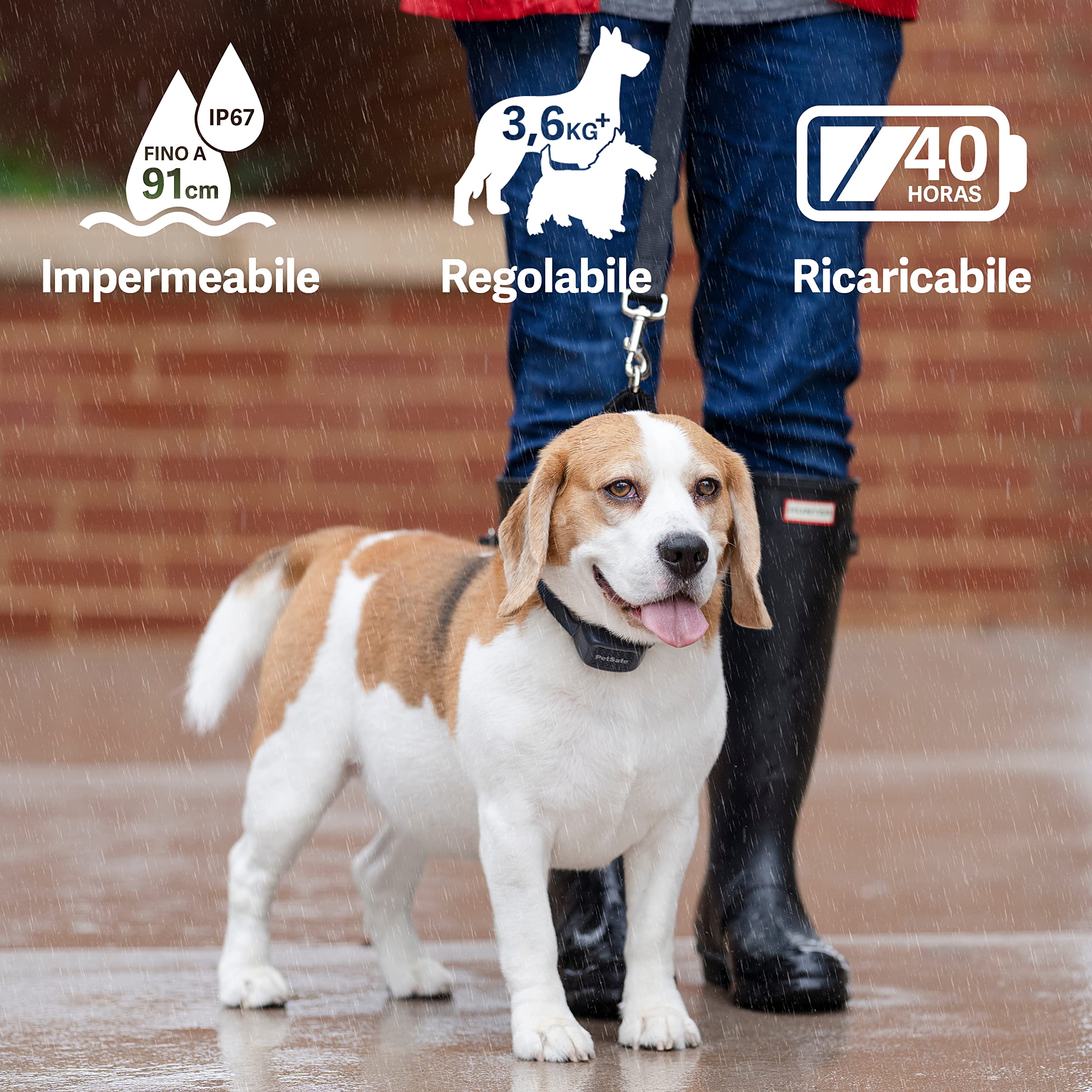 PetSafe - Collare Udibile Antiabbaio per Cani, 10 Livelli di Stimolazione Sicura, Ricaricabile e Impermeabile
