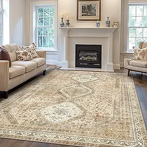 GENIMO 3x5 Vintage Area Rug, Machine Washable, Non Slip & Low Pile Lightweight for Living Room, Entryway, Bedroom, Kitchen