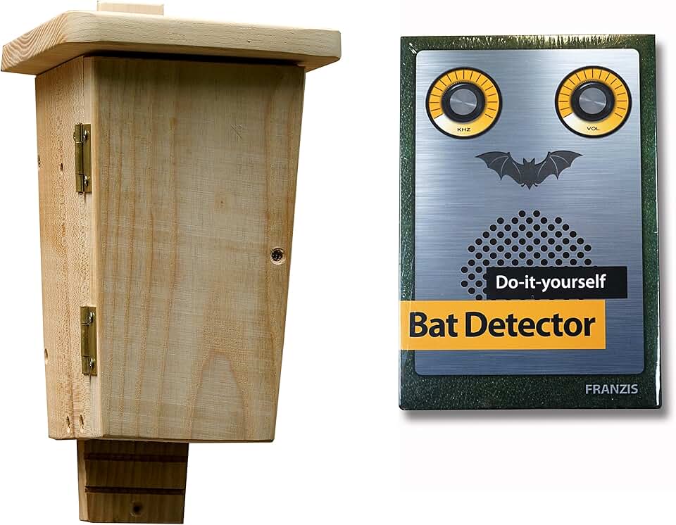 Amazon.co.uk bat box