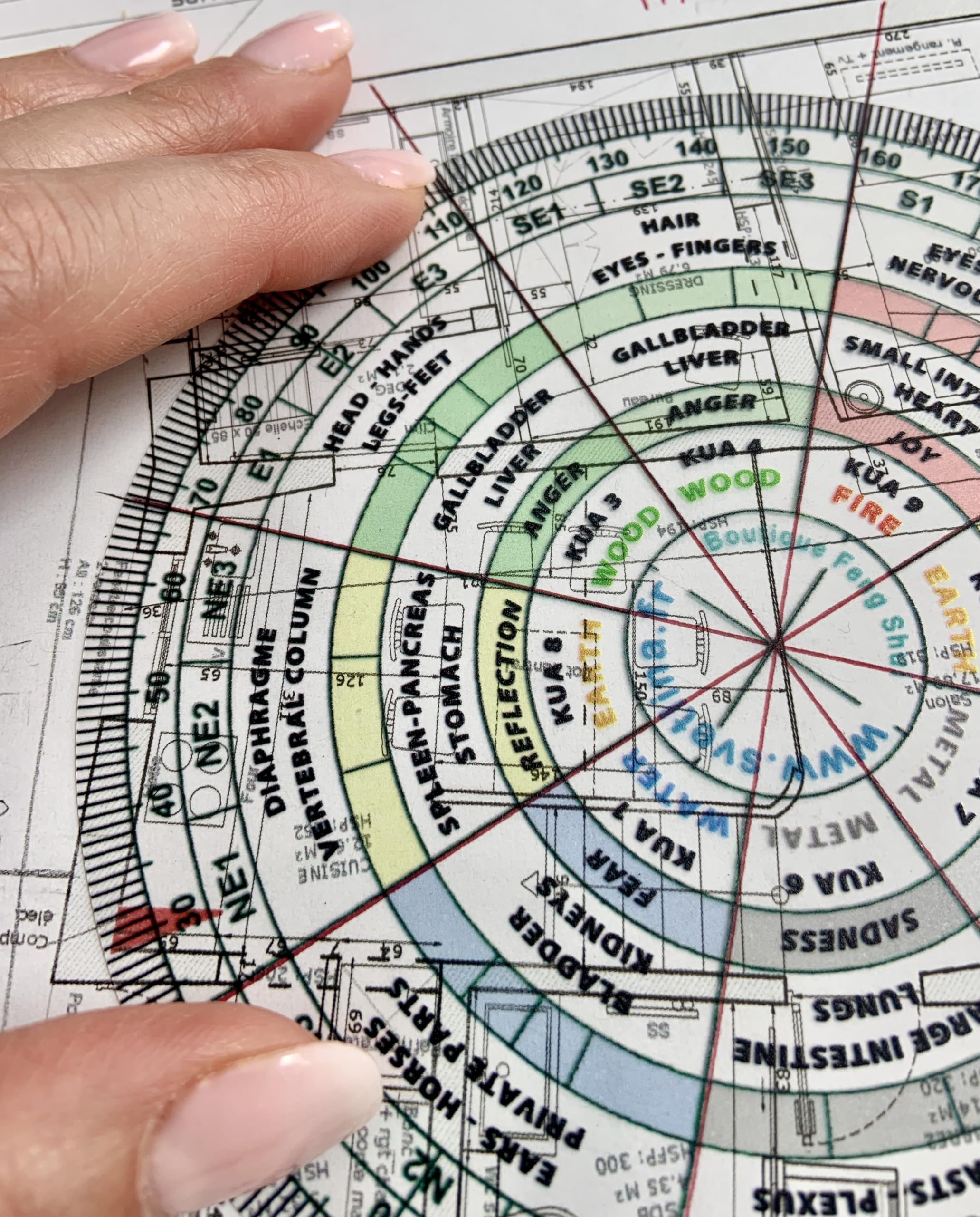 Boussole Feng Shui du corps - Luo Pan Médecine Chinoise Feng Shui - compas Feng Shui pour la santé - Bagua - éléments - Partie du Corps - Organes - Émotions - Symbolique par Secteur de Vie (English)