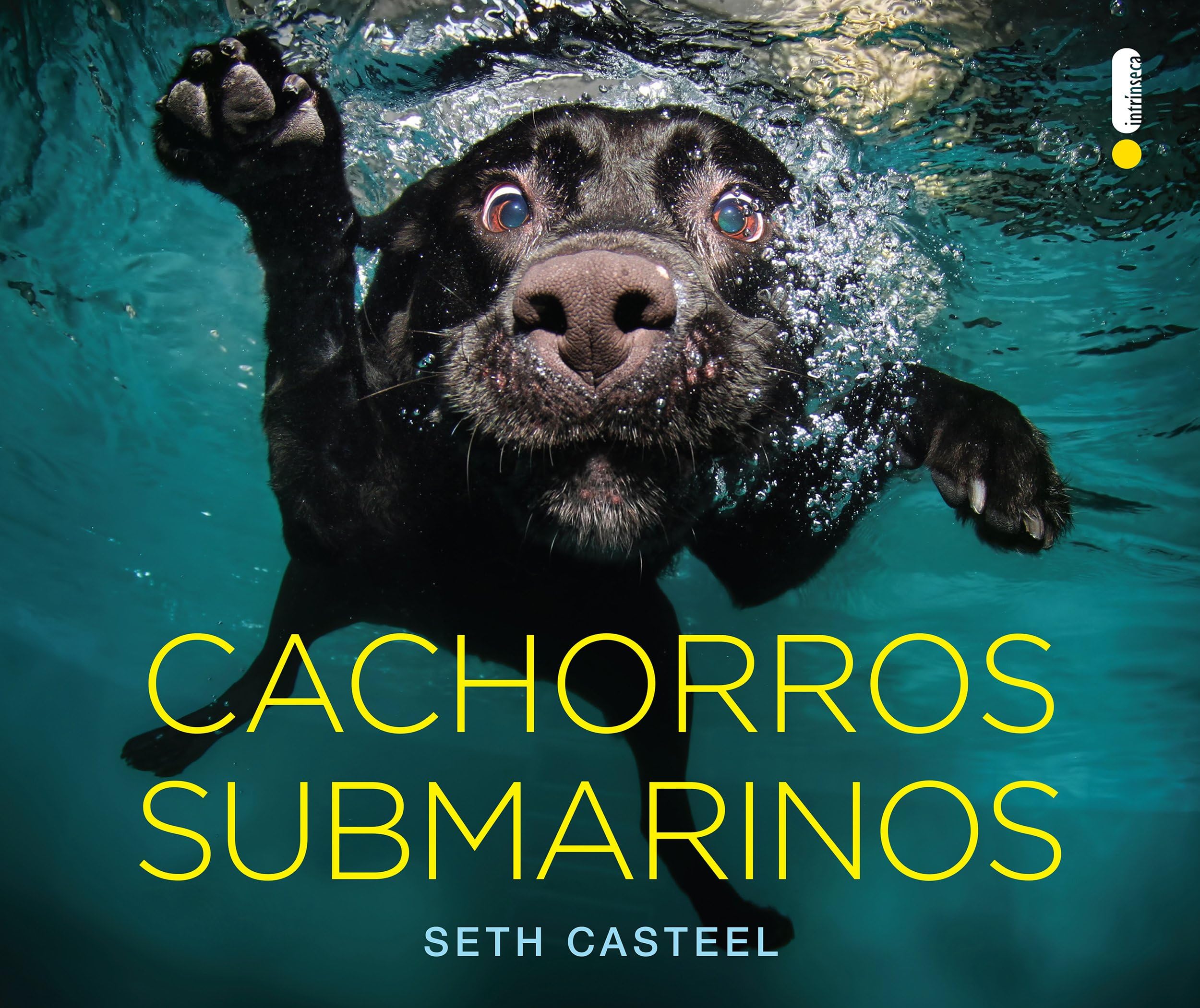 Cachorros submarinos (Portuguese Edition)