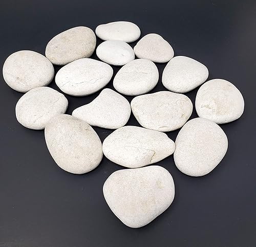 Miniatura 3 de Piedras de paisajismo (blanco) - Rocas de paisajismo para diseño de jardines y paisajes - 4 libras (aproximadamente 20 a 22 rocas)