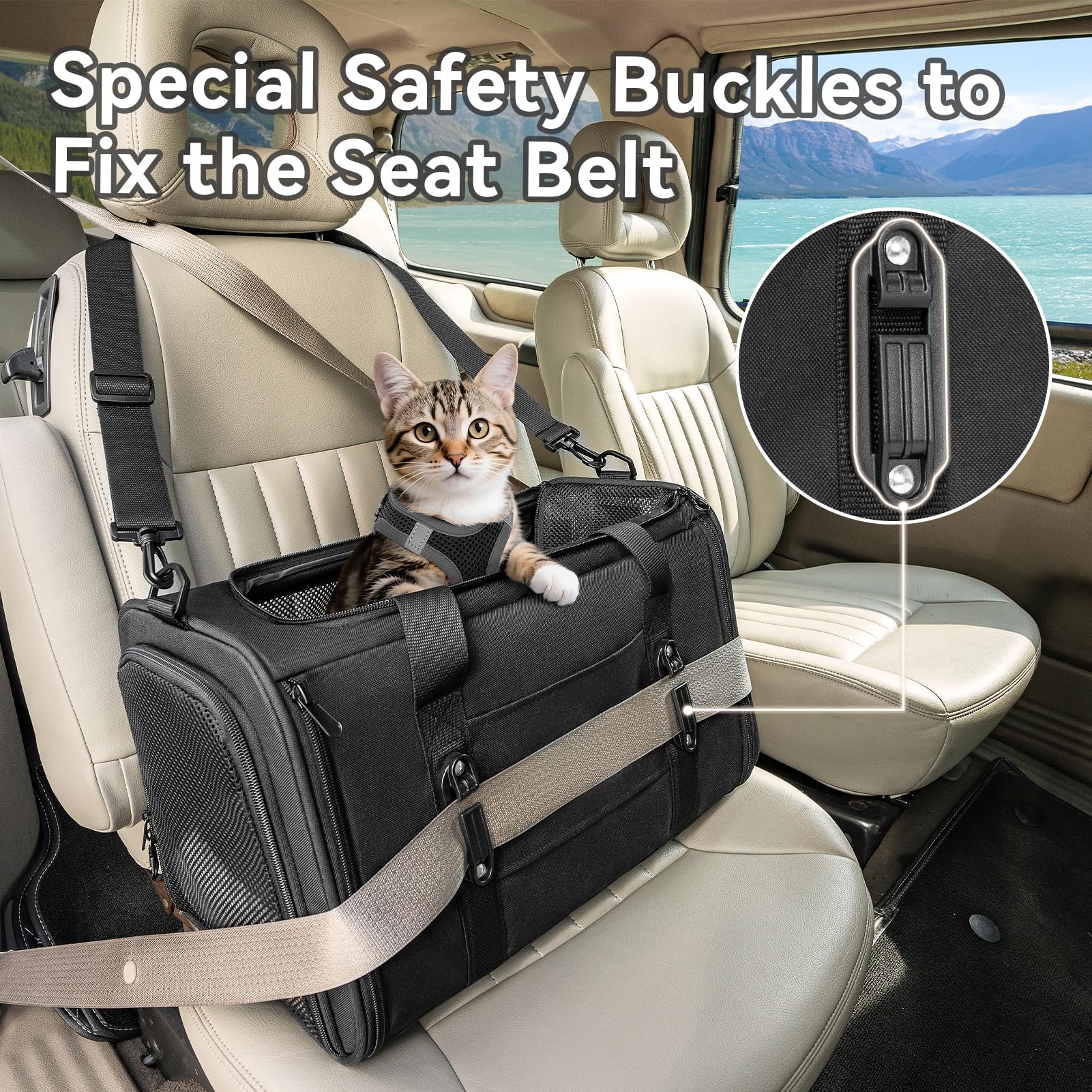 Transportín Gato y Perro Mediano Plegable - Bolsa Portátil con 2 Hebillas Seguridad, 4 Ventanas Malla y Cojín Lavable para Coche (Negro, M)