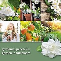 Vista 4 de Yankee Candle - Vela en vaso pequeño