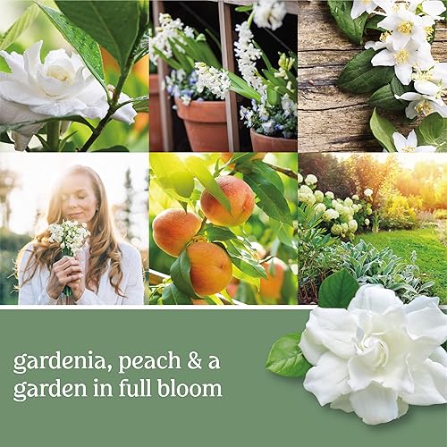 Miniatura 4 de Yankee Candle - Vela en vaso pequeño