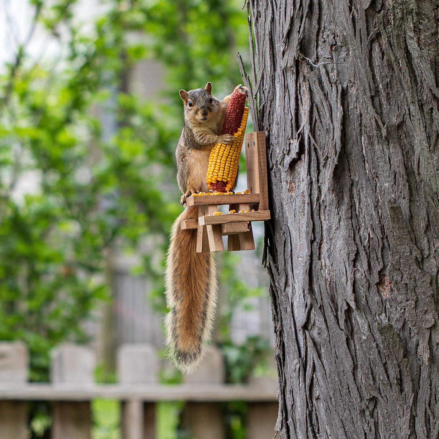 American Heritage Industries Squirrel Picnic Table- Picnic Table Feeder for Squirrels with Corn Holder…