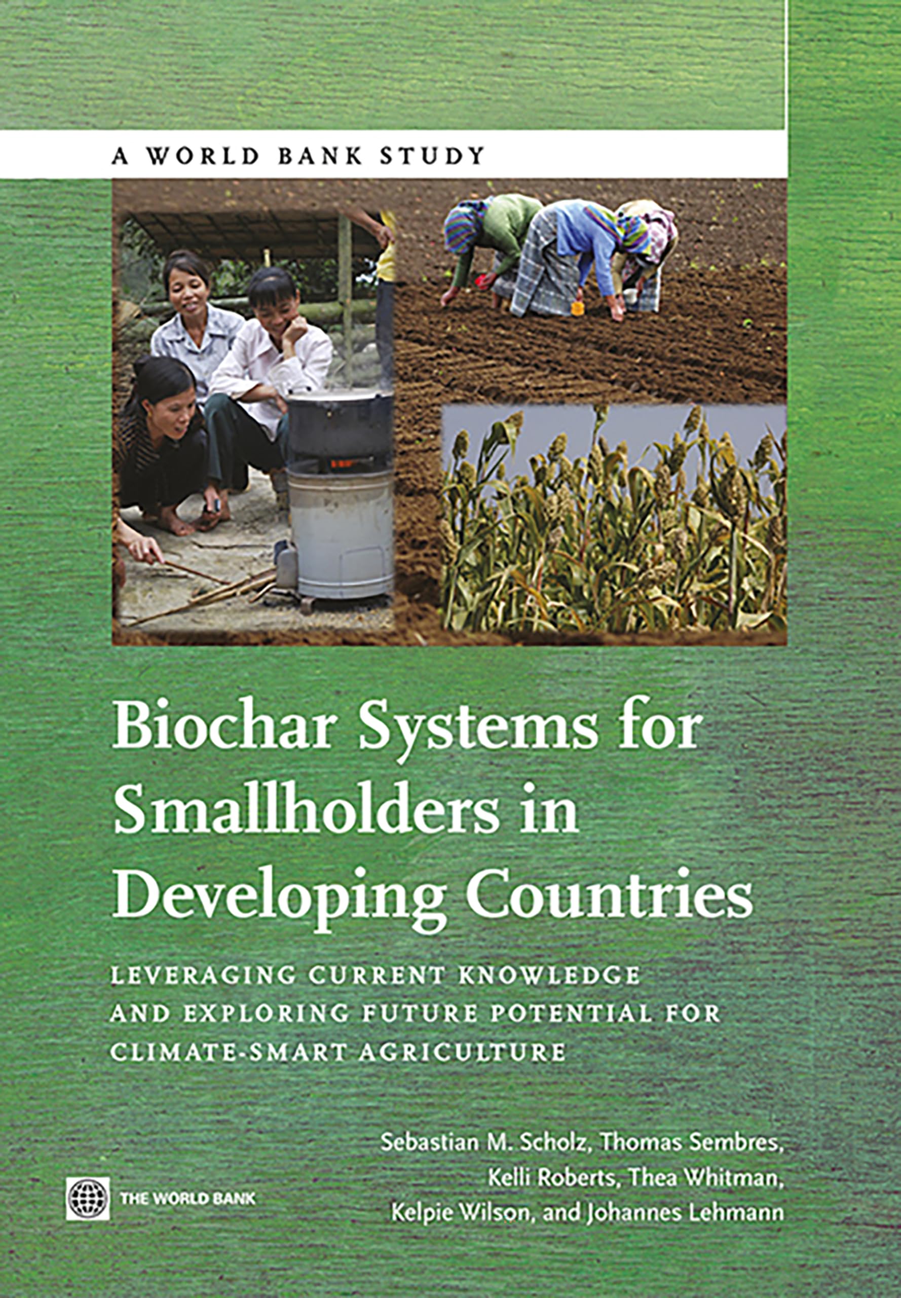 Biochar Systems for Smallholders in Developing Countries: Leveraging Current Knowledge and Exploring Future Potential for Climate-Smart Agriculture (World Bank Studies)