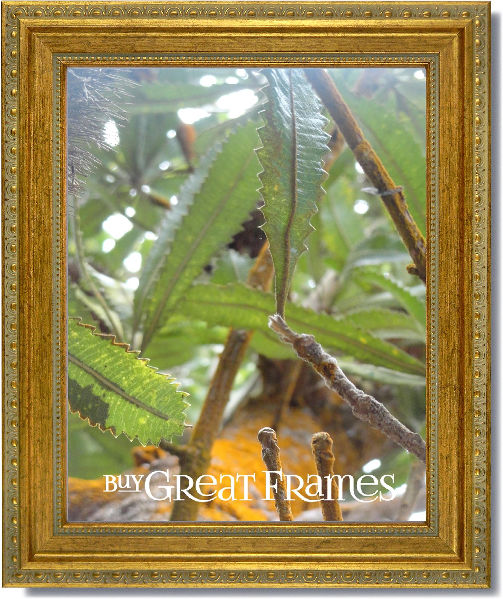 One 16x20 Ornate Heritage Gold Picture Frame and Clear Glass