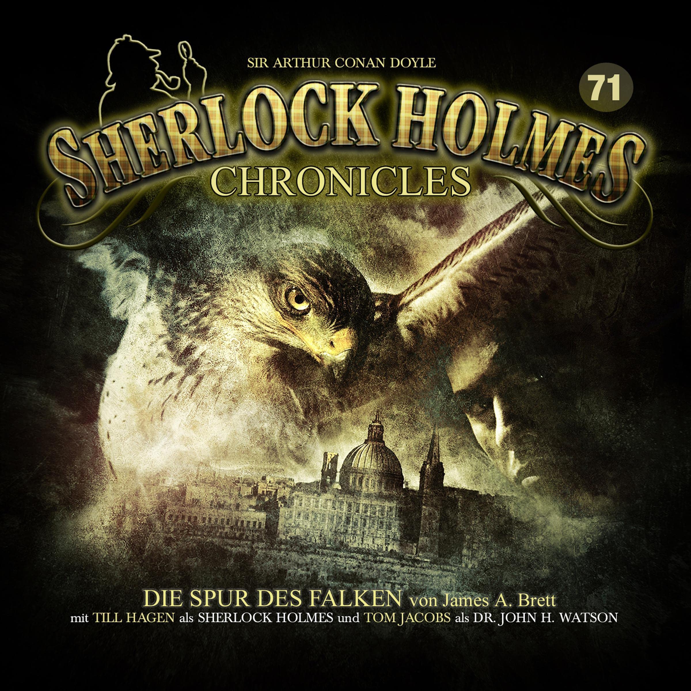 Cover art for Die Spur des Falken