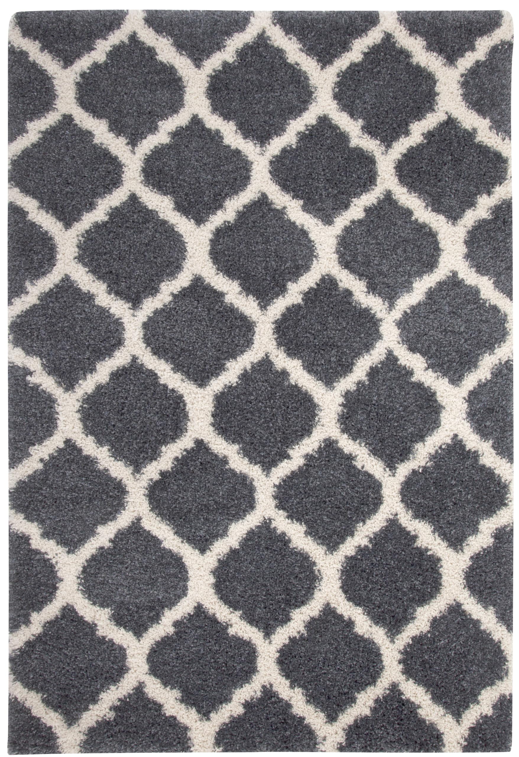 GOWE Shag Blue/White Area Rug 5x8