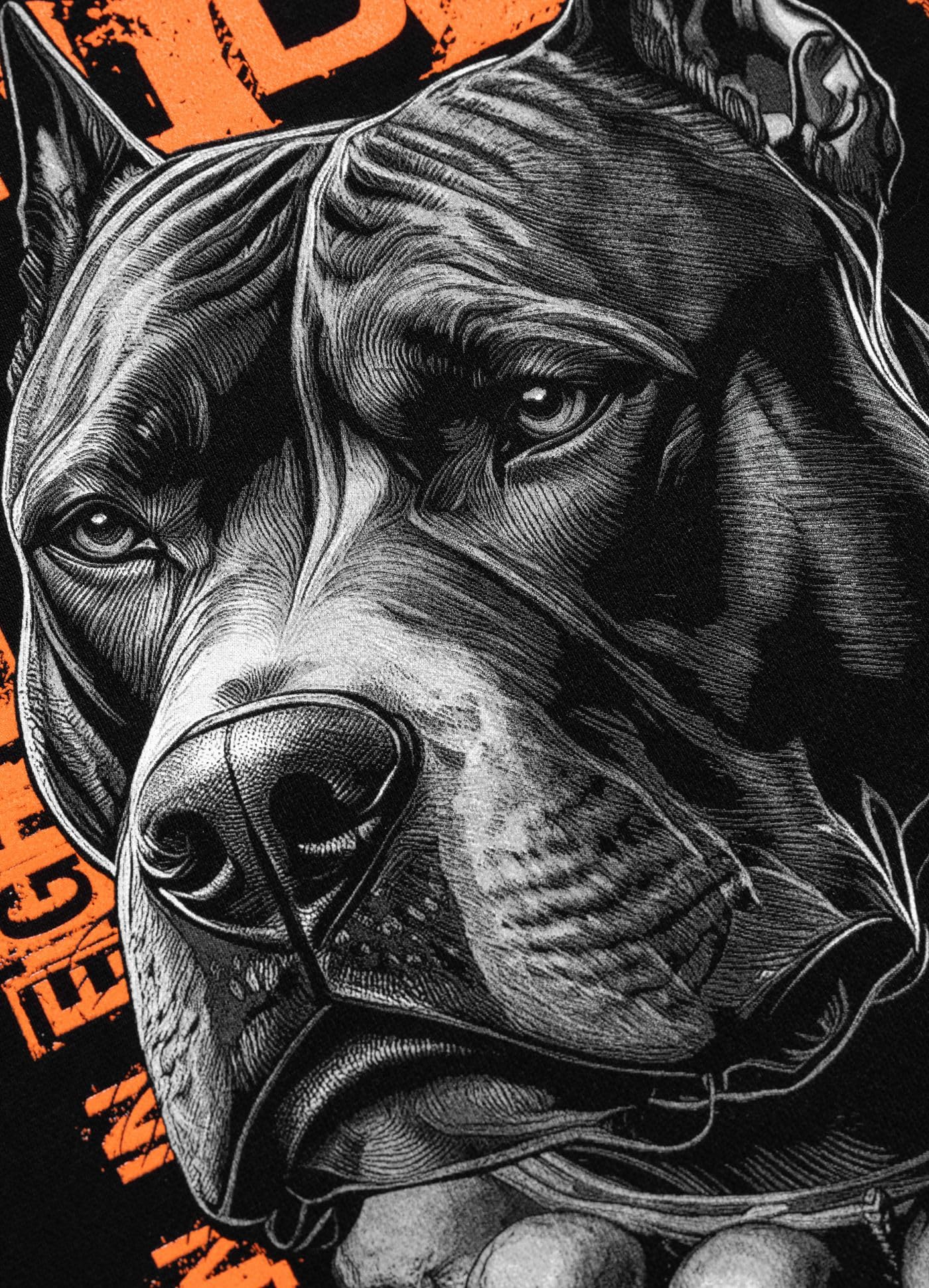 PITBULL Męska bluza z kapturem BLACKY męska bluza z kapturem, regularny krój, z dużym nadrukiem na plecach i logo San Diego, ciężki szczotkowany polar 400 GSM, streetwear bluza z kapturem, wygodna