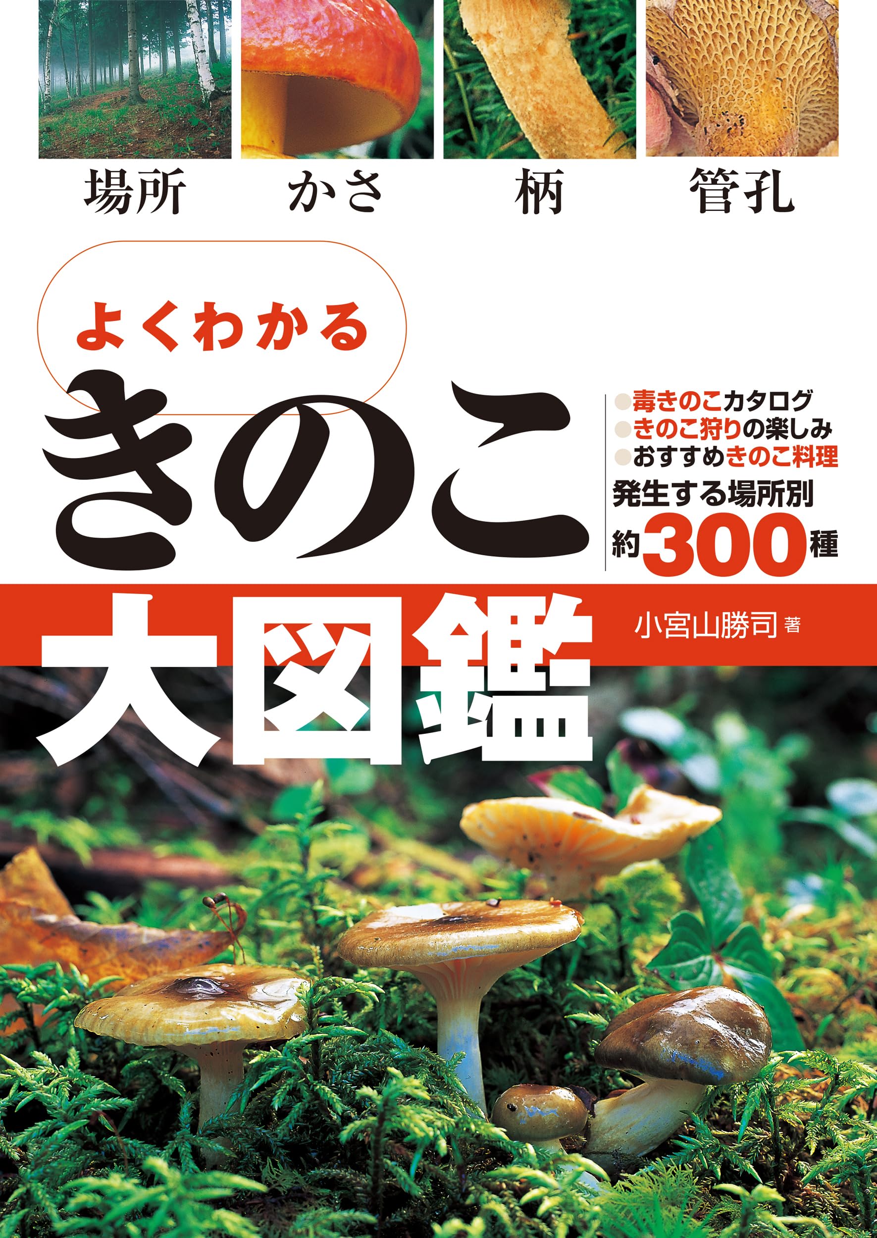 Amazon.co.jp: よくわかる きのこ大図鑑 : 小宮山勝司: 本