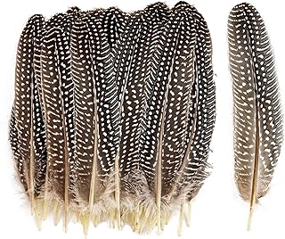 HAPPY FEATHER 6-9 inch Natural Guinea Wing Plumage Feather for DIY Craft, Jewelry and Clothing Decoration Pack of 20-Natural